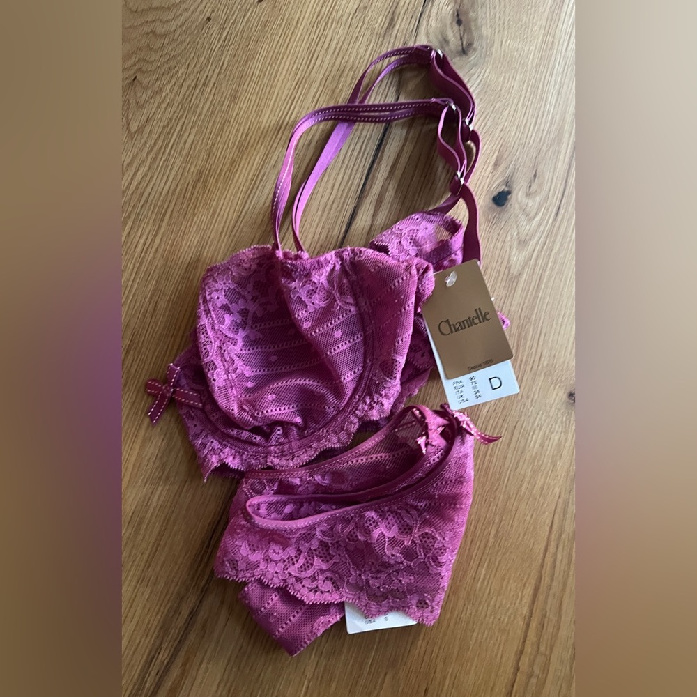 CHANTELLE RIVE GAUCHE LACE BRA & PANTY SET, SIZE 34D & SMALL, NWT. - Picture 11 of 11